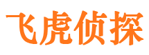 靖西私家调查公司